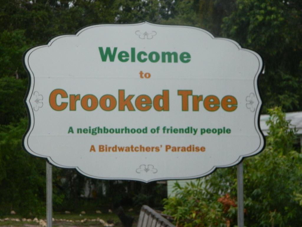 Becks Bed & Breakfast Crooked Tree Exteriör bild